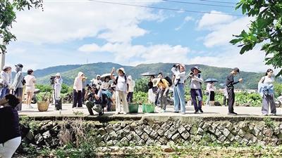 打響“蓋尾龍眼”特色IP  聯合采風團走進仙潭村沉浸式體驗